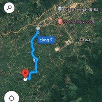 Cắt Lỗ Sâu Lô Đất Tại Tân Sơn Phú Thọ 3000M2 Mà Giá Chỉ Gần 600 Triệu