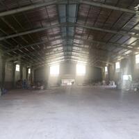 Cho thuê 6.240m2 xưởng mới xây dựng ở Mỹ Phước Tây, Cai Lậy, Tiền Giang