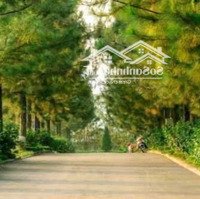 Chính Chủ Gửi Bán 02 Lô 400M2 Đất Nền "The Phoenix Garden" Đan Phượng, Hn. Giá 4Xtr/M2. 0965023988