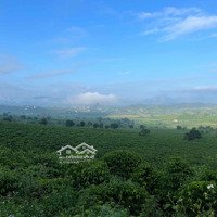 Cho Thuê Nhà Và Đất View Cực Đẹp