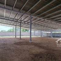 Kho 4000M2 Cần Cho Thuê, Một Sp Hot Cho Thuê Rẻ Hơn Thị Trường 30% Còn Trong Tình Trạng Mới 100%