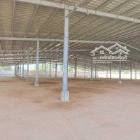 Kho 4000M2 Cần Cho Thuê, Một Sp Hot Cho Thuê Rẻ Hơn Thị Trường 30% Còn Trong Tình Trạng Mới 100%