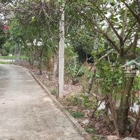 Bán Nhà Vườn Trang Trại Kết Hợp Du Lịch Sinh Thái