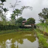 Cần bán gấp nhà vườn nghỉ dưỡng Hẻm Tây Sơn - Phường 2 - Tp. Bảo Lộc - Lâm Đồng