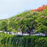 Mặt Tiền Kinh Doanh View Sông, Đường Phan Chu Trinh, Tp Huế