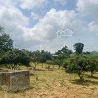 Thu Phong - Cao Phong, Diện Tích 1.1Ha, Trong Đó Có 2,000M2 Thổ Cư, Hơn 7000M2 Đất Vườn, Giá Bán 2,9 Tỷ