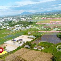 Đất 138M2 Phước Hội, Thị Xã Lagi Full Thổ Cư Sổ Riêng 1.7 Tỷ