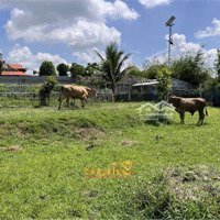 Siêu Biệt Thự Có Hồ Bơi, Biệt Thự, Ao Cá, Trang Trại, Rau Sạch 8 Phòng Ngủ Cao Cấp Giá Bán 40 Tỷ