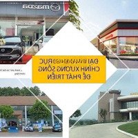 Bán Lô Đất 125M2 Dự Án Tnr Stars Yên Bái City - Đối Diện Toyota Yên Bái, Giá Công Khai 3,3 Tỷ