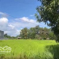 Bán Lô Đất Xã Ya Tờ Mốt,Huyện Ea Súp, 20X54,Tc400, Giá 250 Triệu