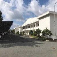 Cho Thuê Nhà Xưởng 17.667 M2 Trong Kcn, Mỹ Tho, Tiền Giang