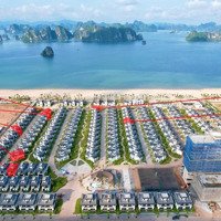 Quỹ Hàng Biệt Thự Biển Sonasea Wyndham Garden Resort Giá Tốt Chỉ Từ 6 Tỷ, Diện Tích 160M2 Đến 200M2