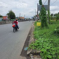 Cho Thuê Nền Cái Tắc Central, Ql 1A