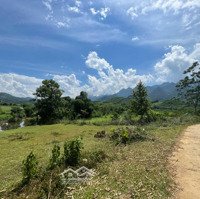 Bán Lô Đất Bám Đường Và Bám Suối, View Cánh Đồng Tại Tân Lạc Hoà Bình