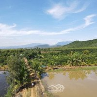 Bán Trang Trại Xã Ninh Bình, Ninh Hòa, Khánh Hòa