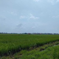 Bán 50Ha Đất Kho Nhà Xưởng 50 Năm Tại Huyện Triệu Sơn, Tỉnh Thanh Hóa