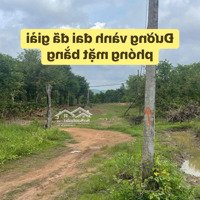 Đất Bán Sào 3 Mặt Đường Huyện Cư Jut - Đắk Nông