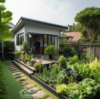 500M2 Vườn ( 18×29) Đường Ôtô Bình Trinh Đông Tân Trụ Long An (479 Triệu) Ngộp