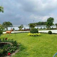 Mô Hình Nhà Vườn Không Khác Gì Resort. 5400M2 Chỉ 15Tỷ Tl