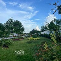 Mô Hình Nhà Vườn Không Khác Gì Resort. 5400M2 Chỉ 15Tỷ Tl