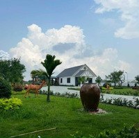 Mô Hình Nhà Vườn Không Khác Gì Resort. 5400M2 Chỉ 15Tỷ Tl