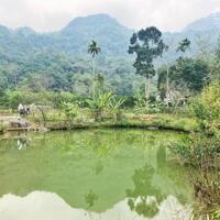 Cần bán gần 1200m2 đất siêu đẹp làm secondhome tại Tân Lạc, Hoà Bình.