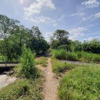 Bán 1009m2 đất 3 mặt tiền tuyến đường du lịch sinh thái cù lao An Bình, Vĩnh Long