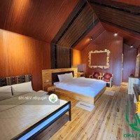 Gia Chủ Cần Bán Homestay Siêu Đẹp, Đầy Tiềm Năng Phát Triển Tại Sapa