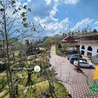 Gia Chủ Cần Bán Homestay Siêu Đẹp, Đầy Tiềm Năng Phát Triển Tại Sapa