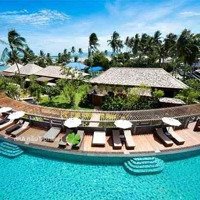 Cần Bán Resort Lagi_Bình Thuận 50X100M Vuông Vức_30 Căn Hộ Nghĩ Dưỡng _Gía Chỉ 69 Tỷ Tl,Gần 4000M2