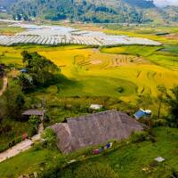 1. Cắt lỗ mảnh đất view ruộng bậc thang tại SAPA