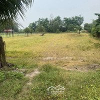 Bán Lô Đất Ở Gia Tân, Gia Lộc, Huyện Trảng Bàng, Tây Ninh Tổngdiện Tích3200
