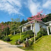 CC cần bán căn villa 2 ngủ ở Onsen Resort HB 150m 2 ngủ, sổ đỏ view núi thoáng đẹp, giá chỉ 1,x tỷ 0964238296