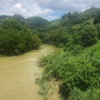 Bán Gấp Đất Nghỉ Dưỡng Tại Tân Trào Sơn Dương Tuyên Quang 5000-3Hec Bám Hồ Sông Suối