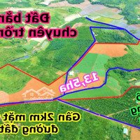 13,5Ha Đất Bazan Trồng Rau Giá Rẻ Bèo Bằng Như Sân Bay Tân Sơn Nhất Tại Đắk Nông