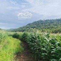 Nhà & Đất Hơn 1000M2 Hơn 15M Mặt Tiền + View Đẹp!