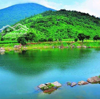 Đất Nền Long An - Cơ Hội Đầu Tư Vàng Tại Sài Gòn Eco Lake