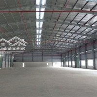 Cho Thuê Kho Xưởng Trong Kcn Hòa Cầm, Q. Cẩm Lệ, 1.000M2, 55 Ngh/M2/Th