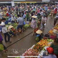 Bán Nhà Phố Mặt Chợ Đang Kinh Doanh