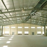 Cho Thuê Kho Xưởng Trong Kcn Hòa Cầm, Q. Cẩm Lệ, 1.000M2, 55 Ngh/M2/Th (Đường Trường Sơn)