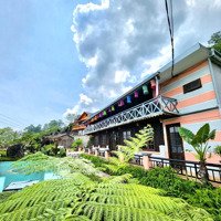 Bán Homestay 2.100 M2 Hầu Thào - Sa Pa Full Setup Về Chỉ Việc Kinh Doanh