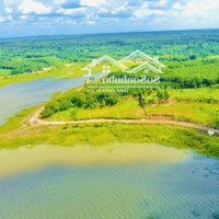 Bán Farm Nghĩ Dưỡng View Hồ Sông Ray Tuyệt Đẹp, Mặt Tiền Đường Lớn, Cách Tl328 Chỉ 500M