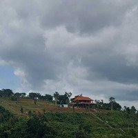 Gần 10Ha View Có 1-0-2 Trung Tâm Tp Gia Nghĩa, Đường Betong Xe Tải, Giá Bán 86 Tỷ, 0989115115 A Hoàng