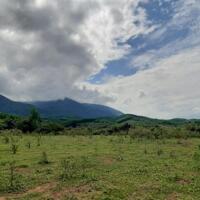 3.3ha Ninh Tân, Ninh Hòa, Khánh Hòa 800tr/ha