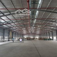 Bán Đất Làm Nhà Xưởng 330M2 Ngay Ql 5, Ql 10 - Mặt Tiền 15M - Đường Xe Container - Giá Cực Ngon