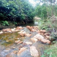 Bán Đất Rừng Sx Views Suối Bám Suối Tiên Phước Quảng Nam