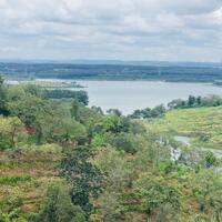 Siêu PhẩM ĐỘC QUYỀN  ,Hồ sinh thái Thác Mơ  View triệu ĐÔ   ️Nhất cận Thị ( Thị trấn Đức Phong)- Nhị cận Giang ( Hồ Thác Mơ) - Tam cận Lộ ( Ql14 ) ,Sát nút cao tốc Chơn Thành- Gia Nghĩa