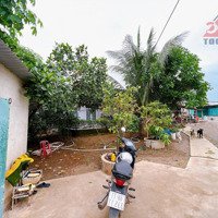 Trang Trại Heo Xã Hưng Lộc , Huyện Thống Nhất 9510M2 Có Giấy Phép Kinh Doanh ,Cách Quốc Lộ 1A 5Km