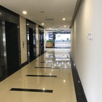 Bán 100M2 Đến 1600M2 Sàn Văn Phòng Tòa Discovery Complex, Cầu Giấy. Liên Hệ: 0909300689