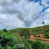 Đất 1,4Hecta - View Đẹp - Giá Tốt - Trung Tâm Krông Nô - Tỉnh Đắk Nông